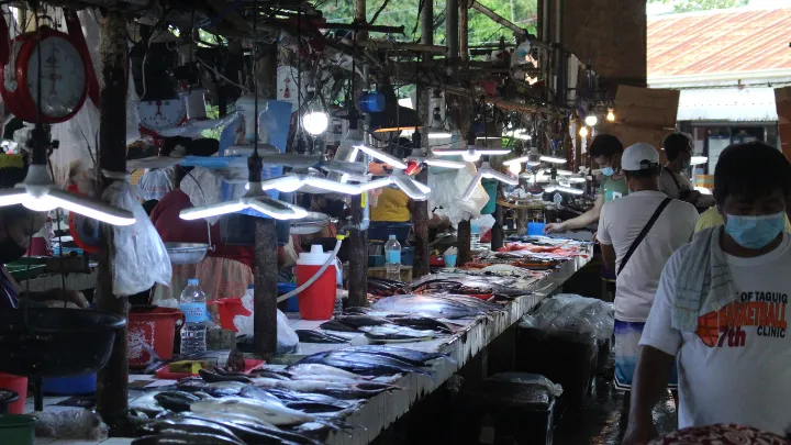 Calaca Public Market