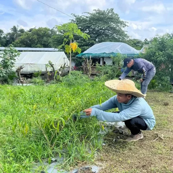 Nasa Sipag